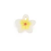 HAWAII THE FLOWER -Deals Baby Products Store oli carol hawaii the flower
