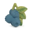 JERRY THE BLUEBERRY -Deals Baby Products Store oli carol jerry the blueberry