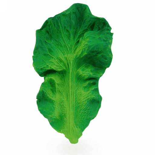 KENDALL THE KALE KENDALL THE KALE -Deals Baby Products Store oli carol kendall the kale