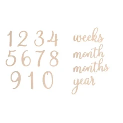 Pearhead WOODEN REVERSIBLE MILESTONE PHOTO PROP