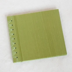 Rag & Bone BABY'S FIRST BOOK GREEN SILK