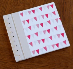 Rag & Bone BABY'S FIRST BOOK, PINK BABY BUNTING